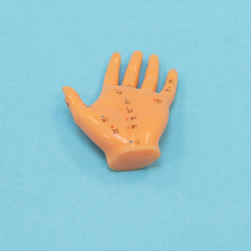 Hand Model Showing Acupoints(reduced3:2)