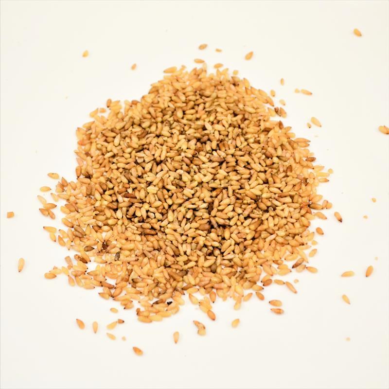 BaiZiRen <br>Semen Platycladi