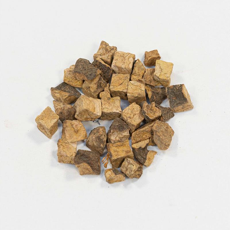 HeShouWu(Sheng) <br>Radix Polygoni Multiflori