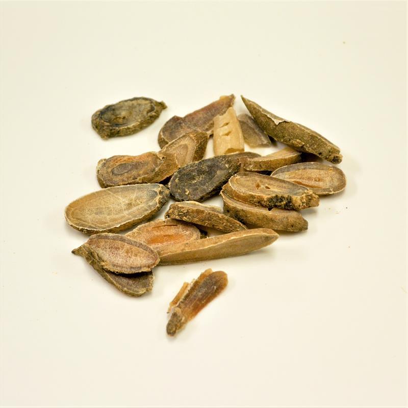 YanHuSuo <br>Rhizoma Corydalis