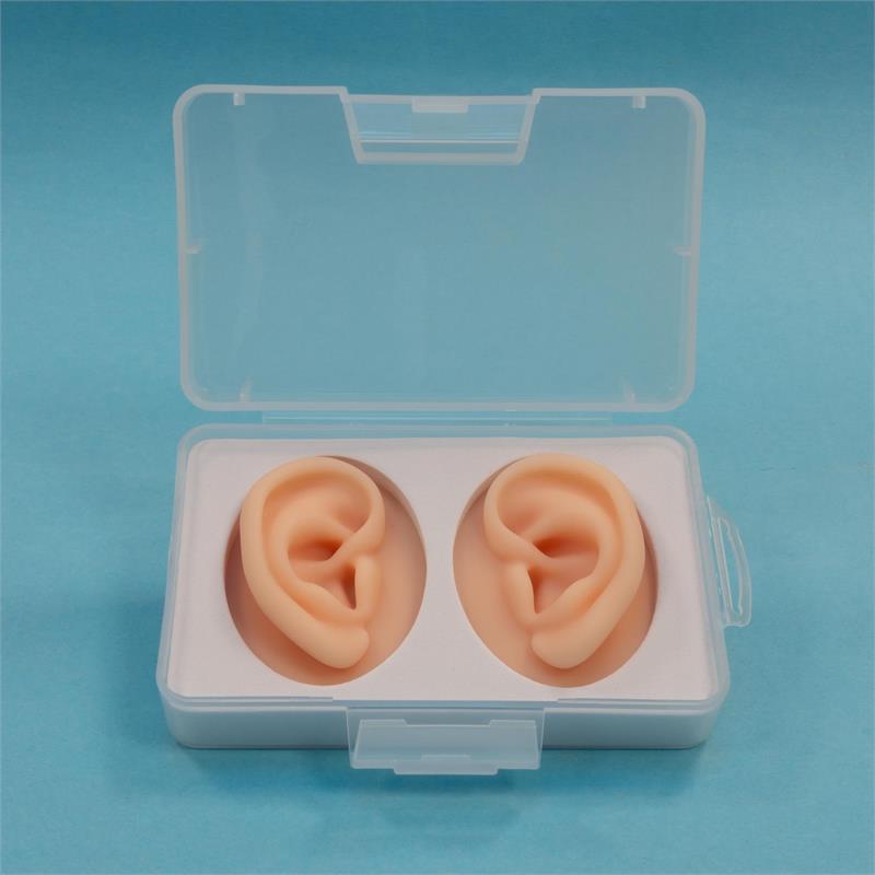 Acupuncture Ear Model Set (2 part)
