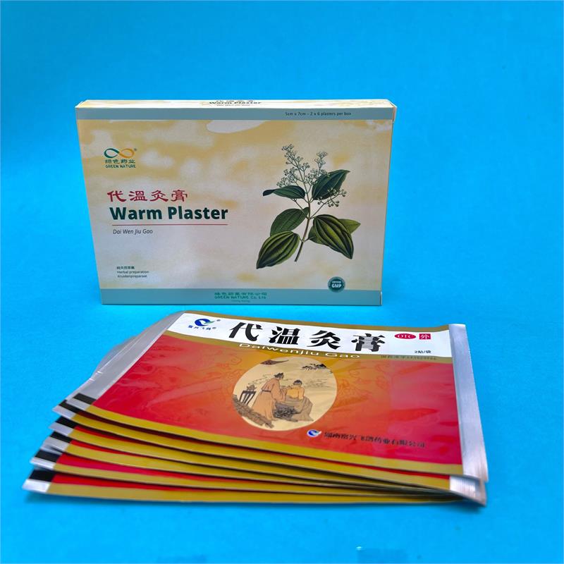 DaiWenJiuGao 5cm x 7cm ( 2x6 pcs)<br> warm plaster <br>On Sale Expiry date 31/12/2025